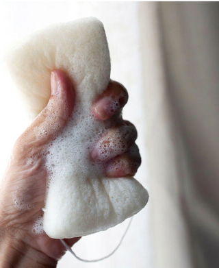 Body Sponge